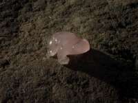 Frog rose quartz #87
