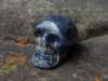 Crystal skull sodalite #1311