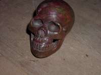 Crystal skull ruby in zoisite #1326